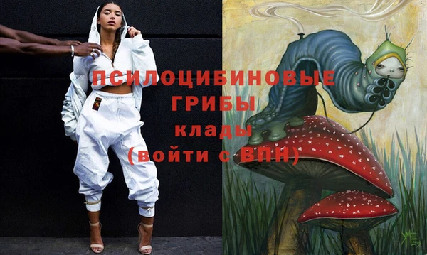 винт Ельня