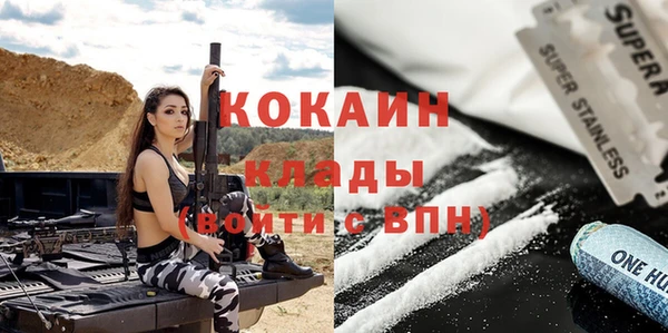 винт Ельня