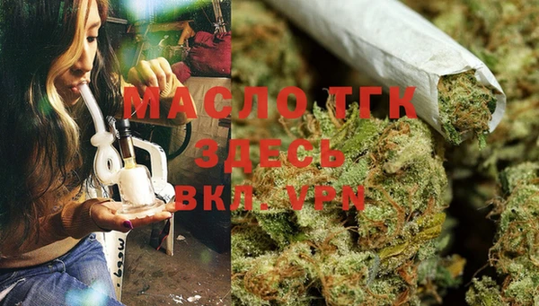 винт Ельня