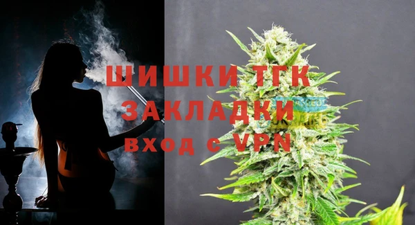 винт Ельня