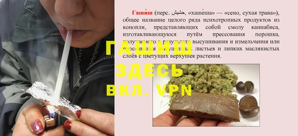 винт Ельня